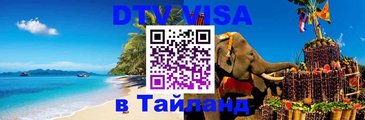 Оформление DTV визы под ключ: стоимость и тарифы, только загранпаспорт - 